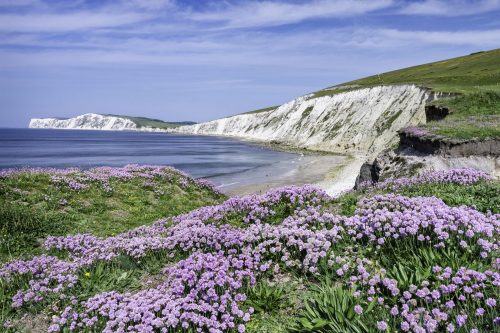 Cliffs on the Isle Of Wight