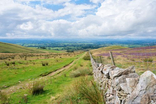 Walking path through the green grassy hills of the Pennine Way National Trail in Cumbria
